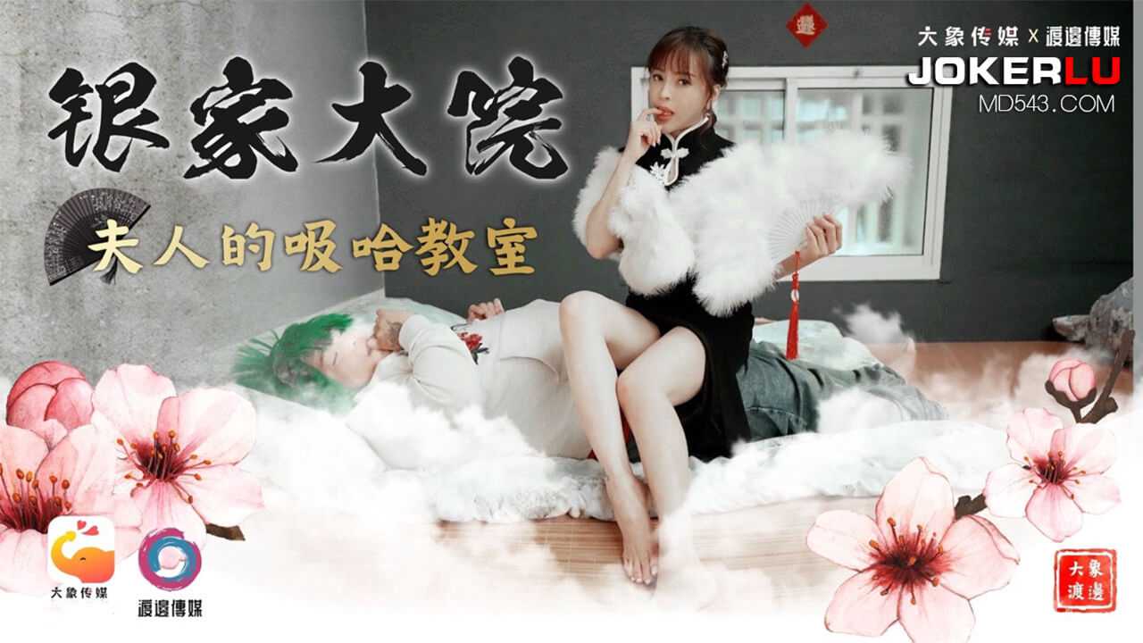 银家大院之夫人的吸哈教室 大象传媒 x 渡边传媒