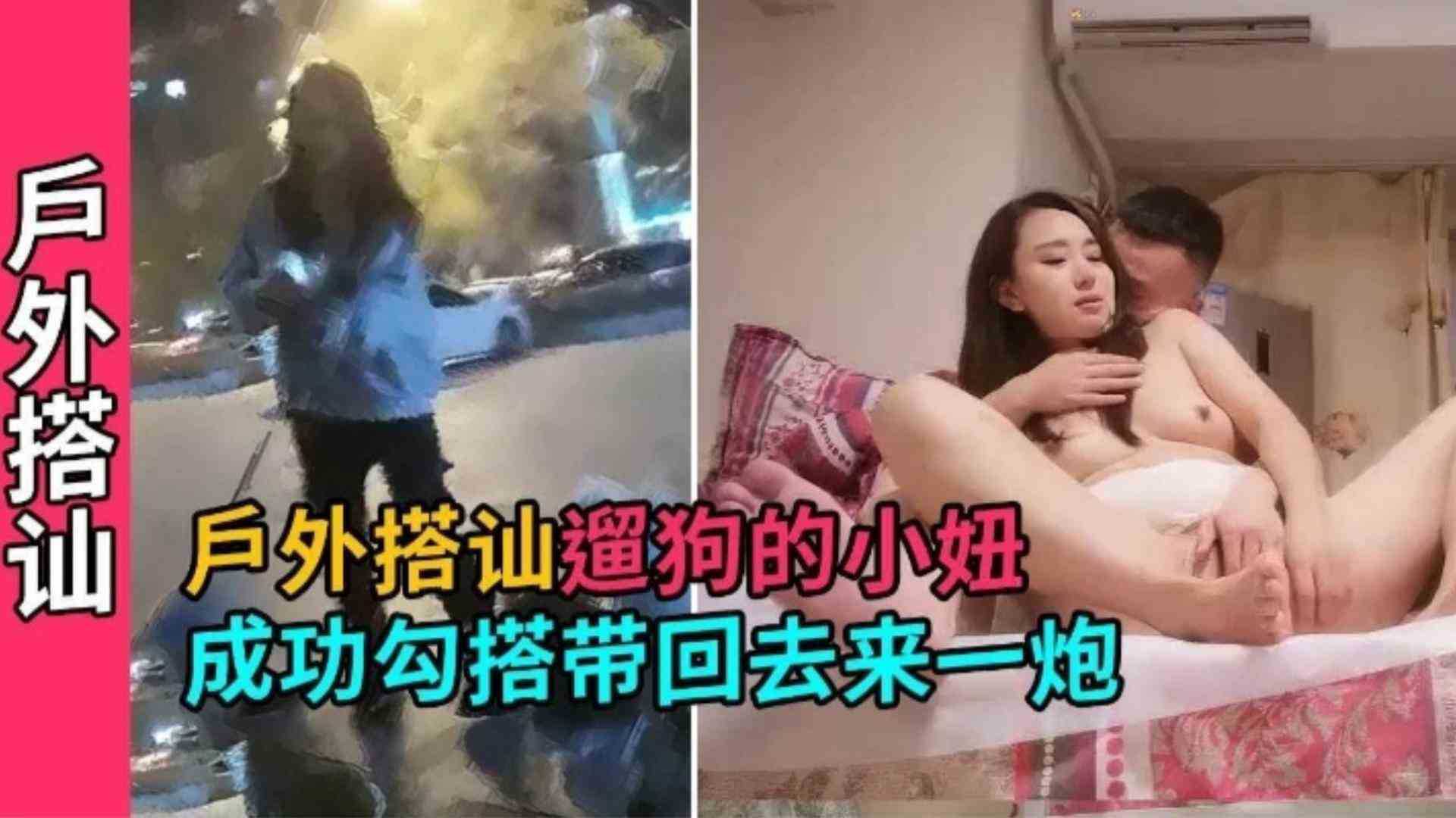 户外遛狗成功搭讪贵妇气质小妞，聊嗨了带回去打炮爽一下，两只狗狗一旁观战！